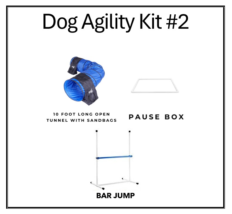 Dog Agility Kit 2 Dog Agility Kit 2