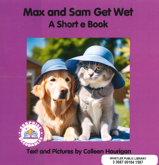 Level 1 Complete Short Vowel Set