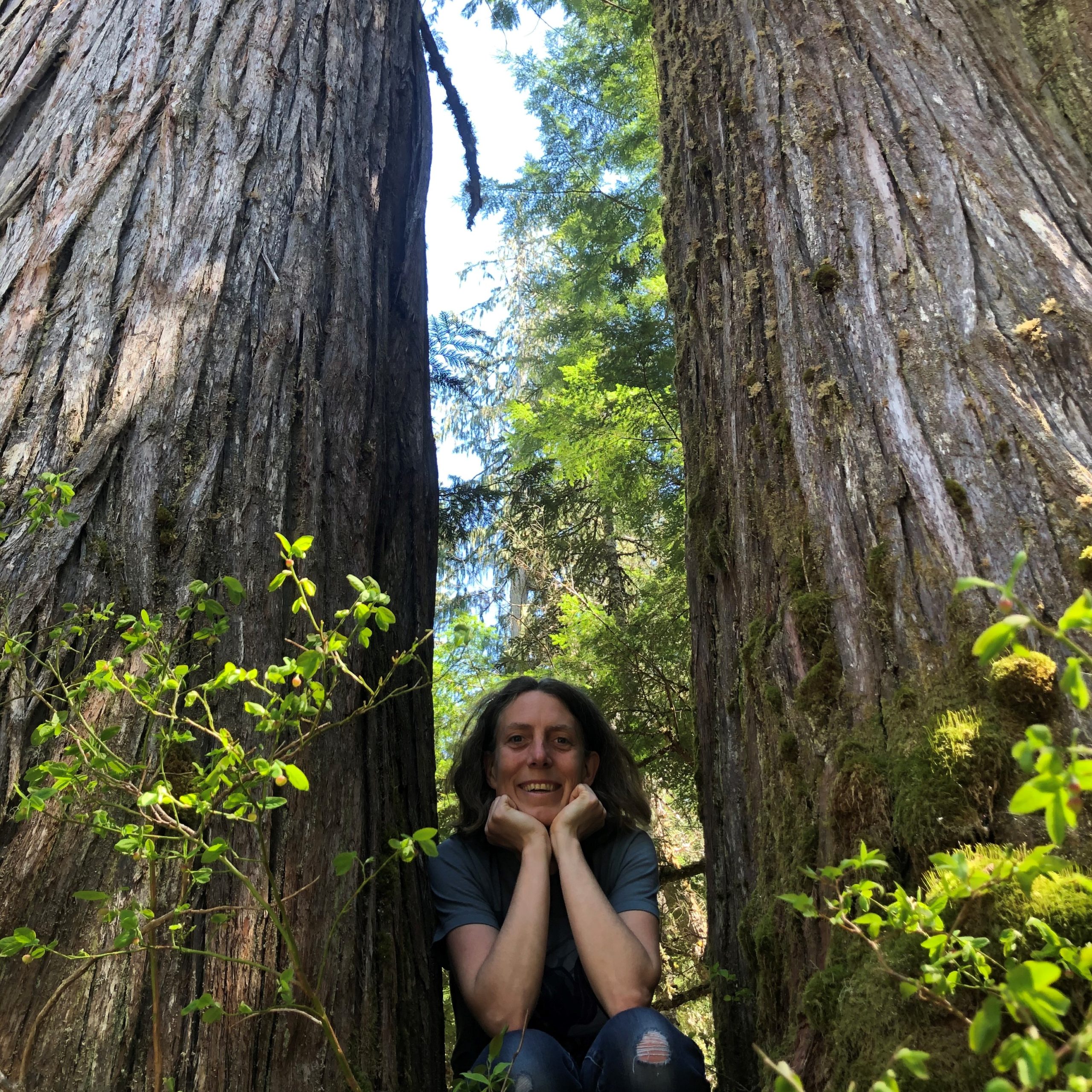 Julie between two tall trees